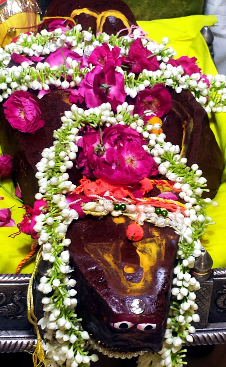 Goverdhan Shila Darshan at Radha Damodar Ji Temple