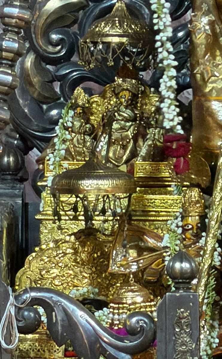 Gaur Govind and Other Idols at Shri Radha Govind Dev Ji Temple